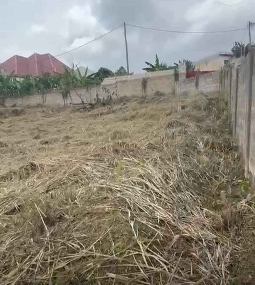 3 PLOT OF LANDS FOR SALE